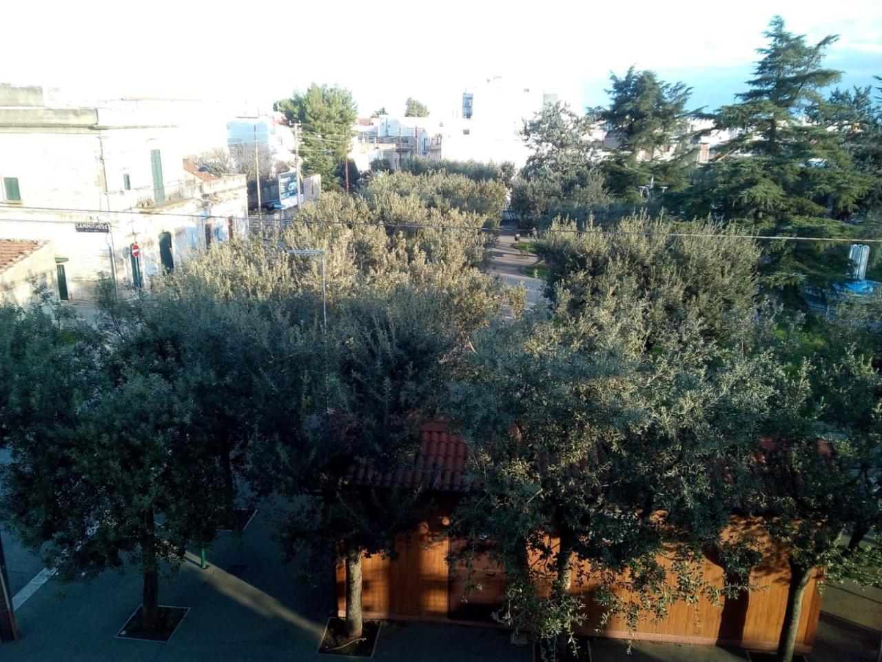 "La Casa Di Mariagrazia" Appartamento 4 Locali Саммикеле-ди-Бари Экстерьер фото