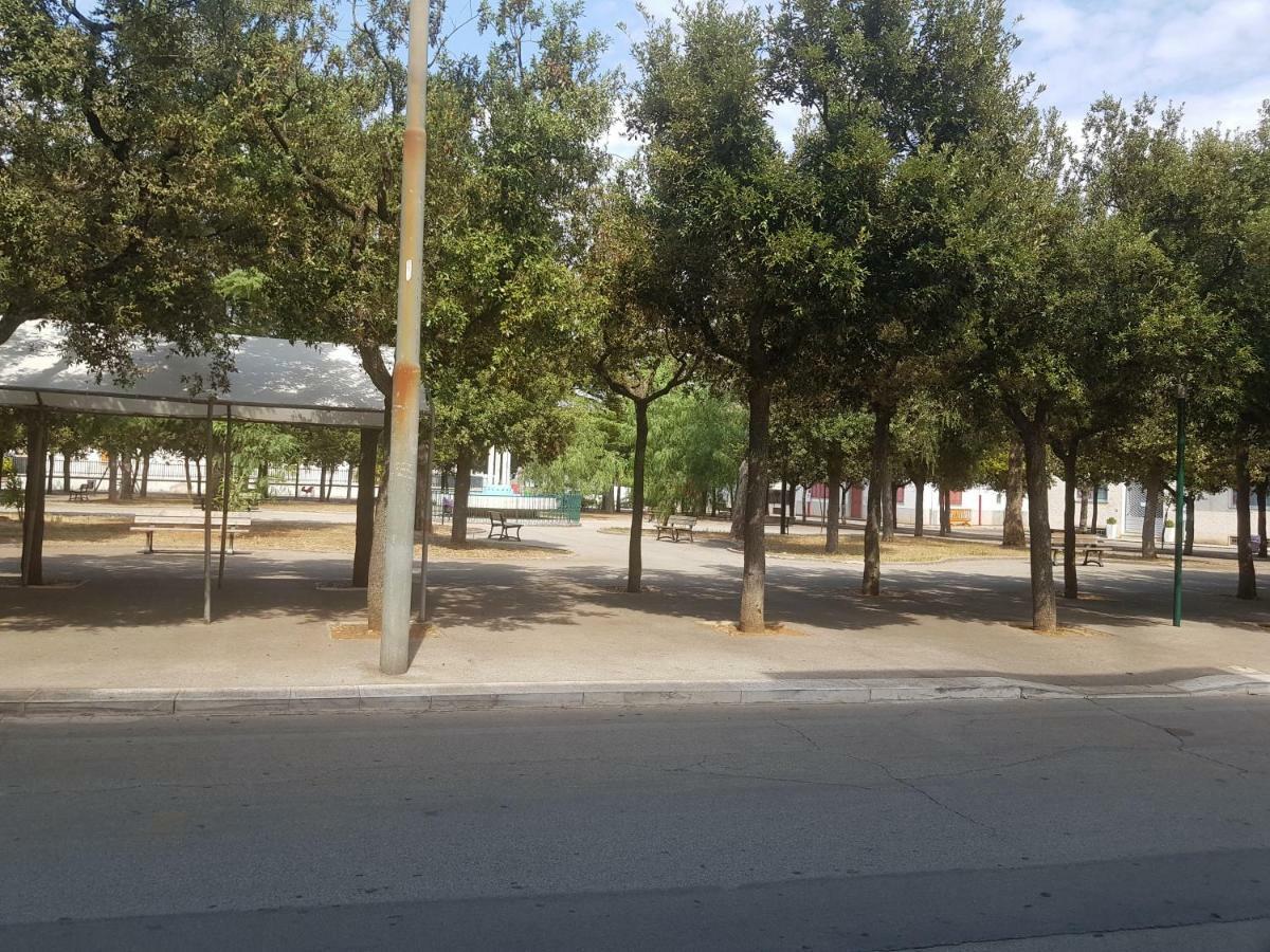 "La Casa Di Mariagrazia" Appartamento 4 Locali Саммикеле-ди-Бари Экстерьер фото